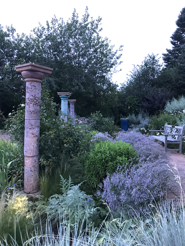 Limonium latifolium | Stonehouse Nursery