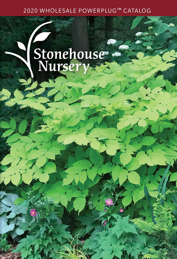 Contact Us Stonehouse Nursery