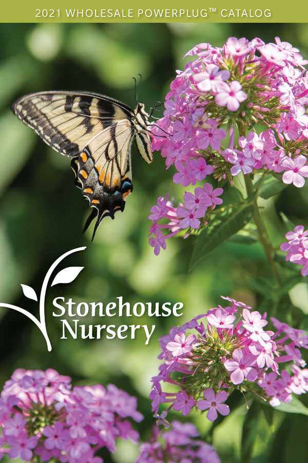 Contact Us Stonehouse Nursery