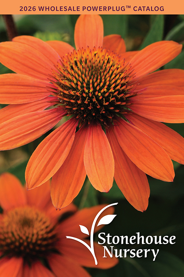 Stonehouse Nursery catalog