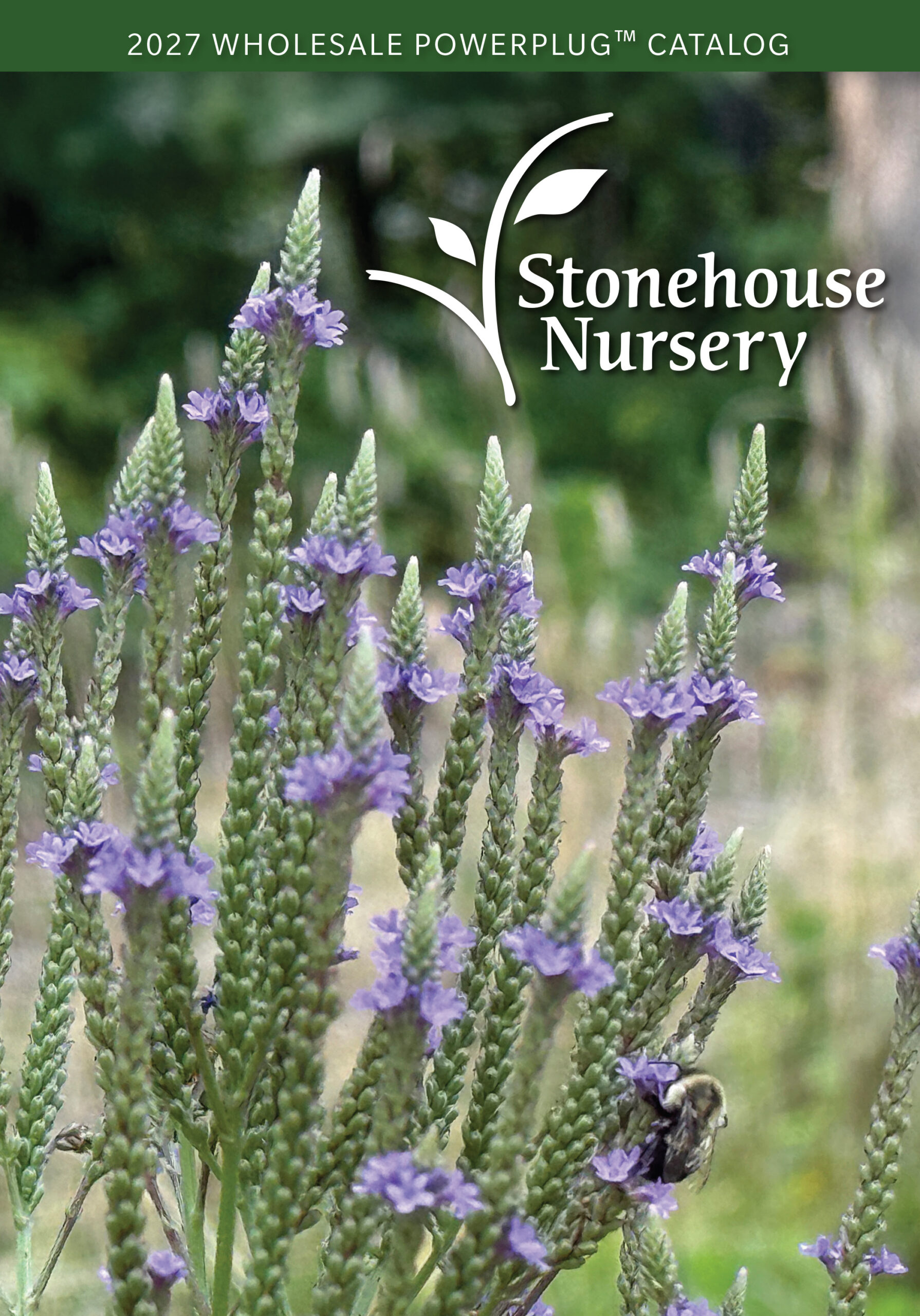 Stonehouse Nursery catalog